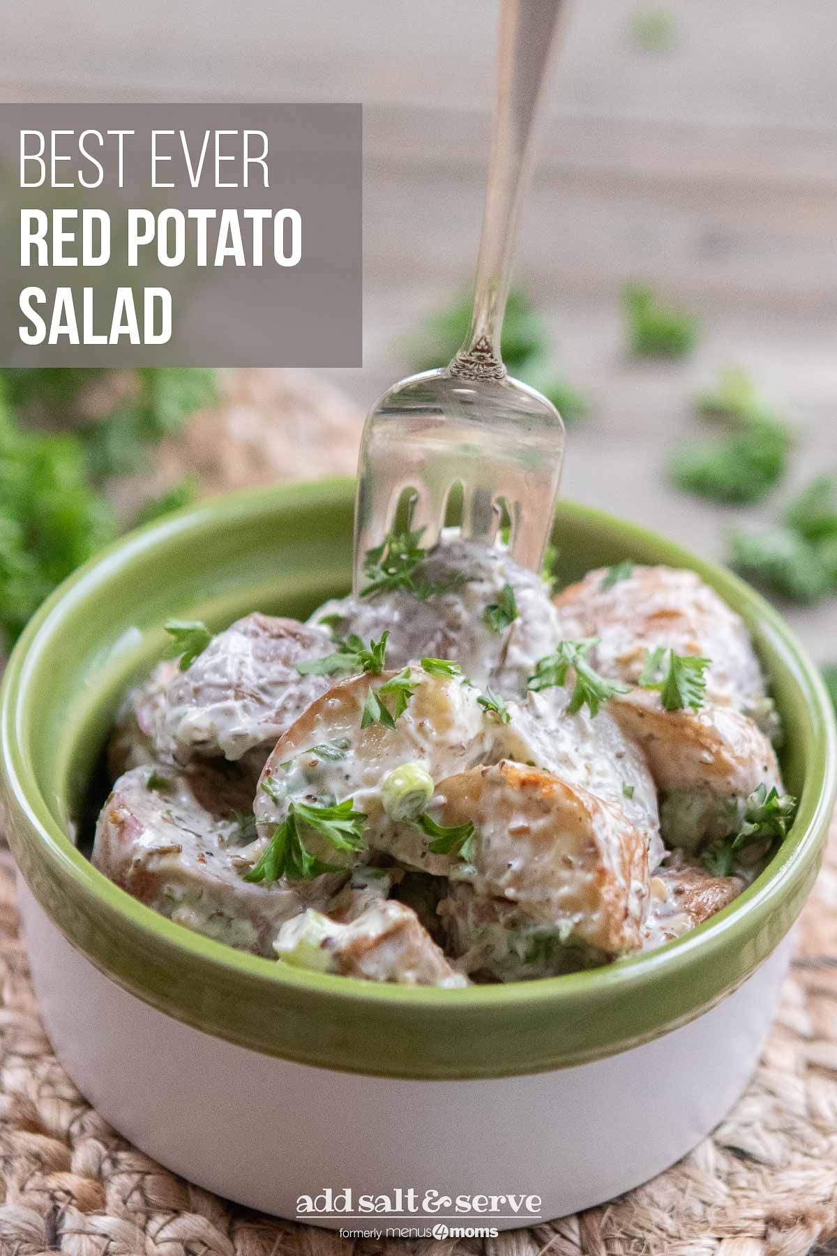 Bowl of potato salad garnished with parsley with a fork and text Best Ever Red Potato Salad - Add Salt & Serve logo