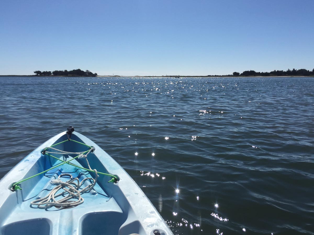 Front end of a kayak on water moving toward an island