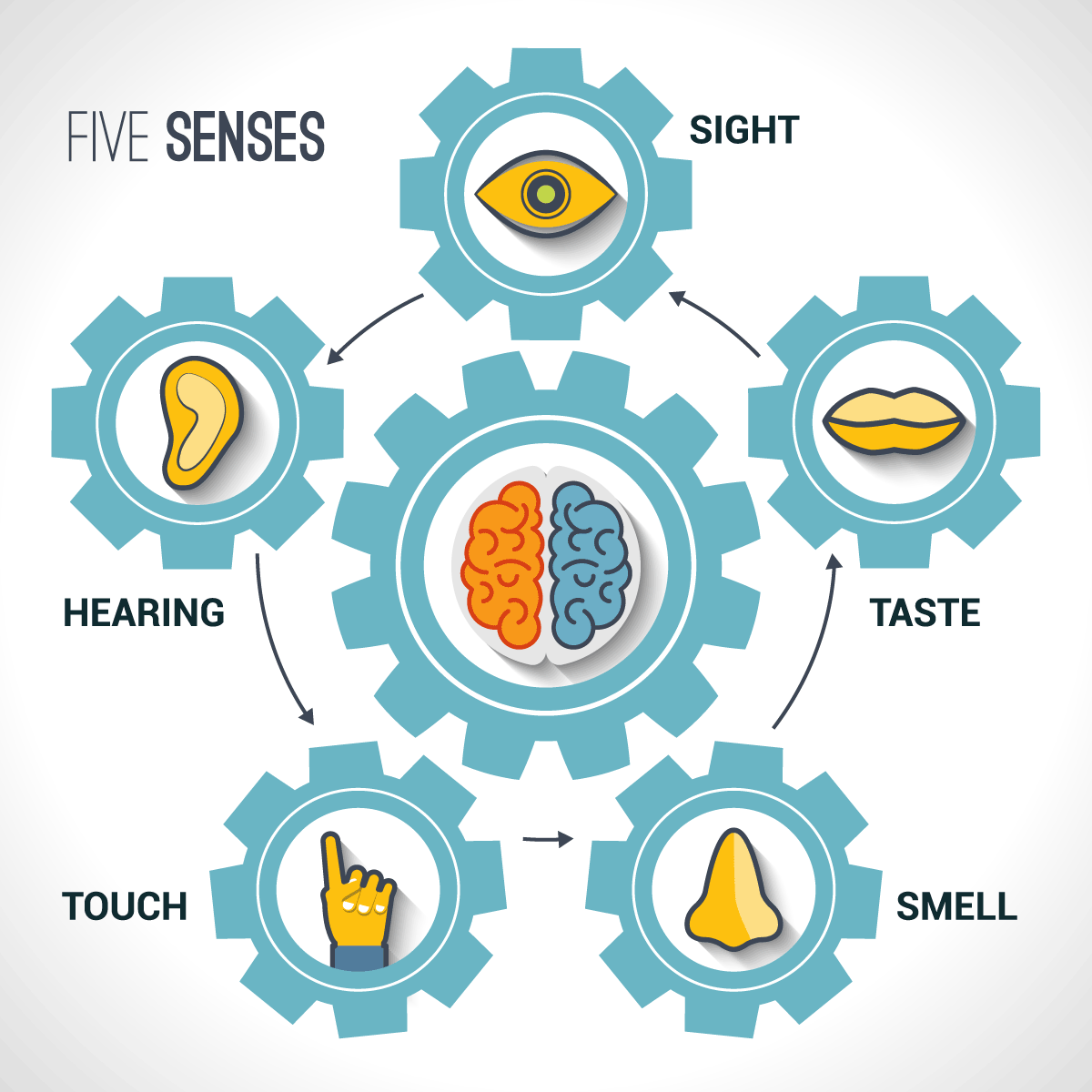 symbols of the 5 senses in a circle around a symbol of the brain