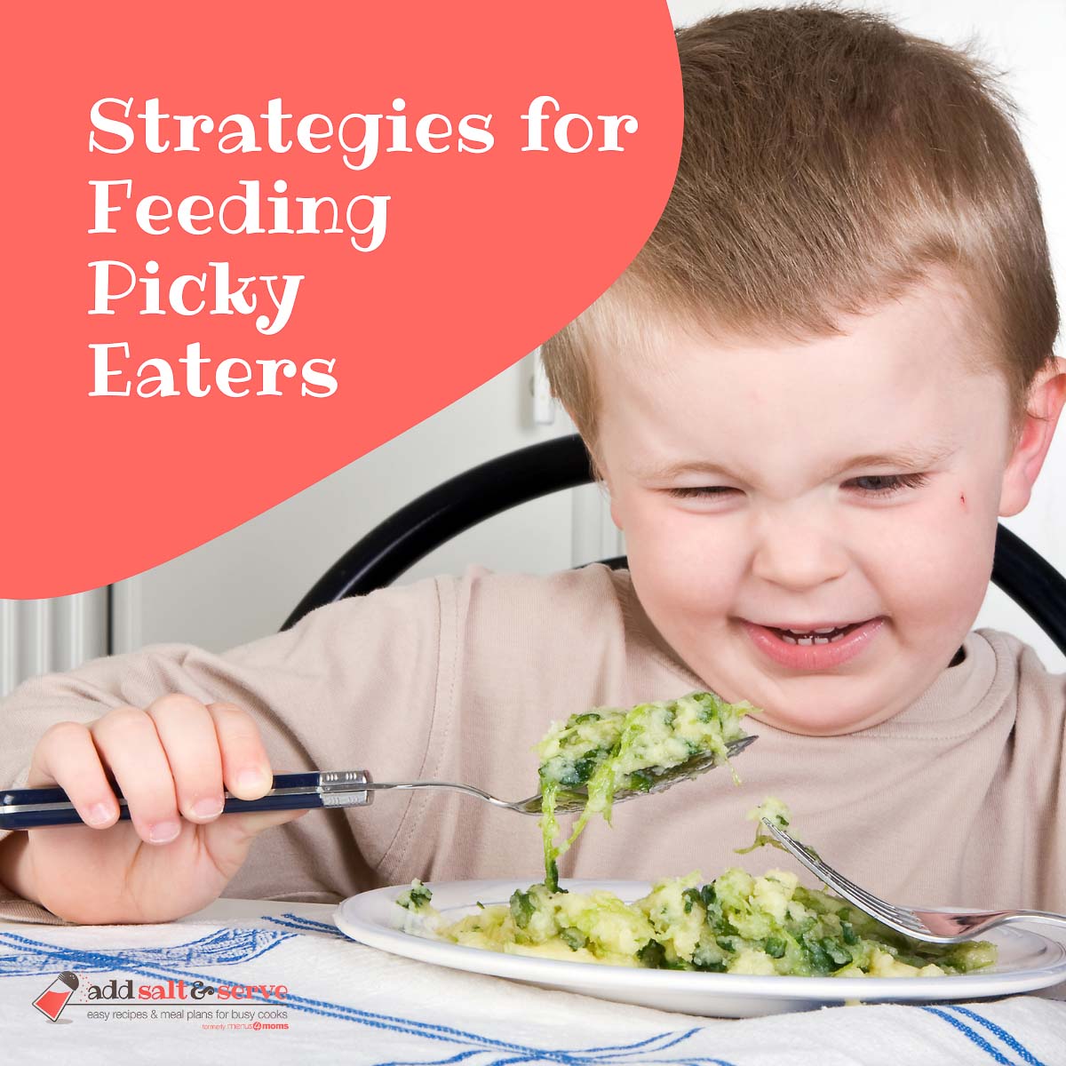 Strategies for feeding Picky Eaters