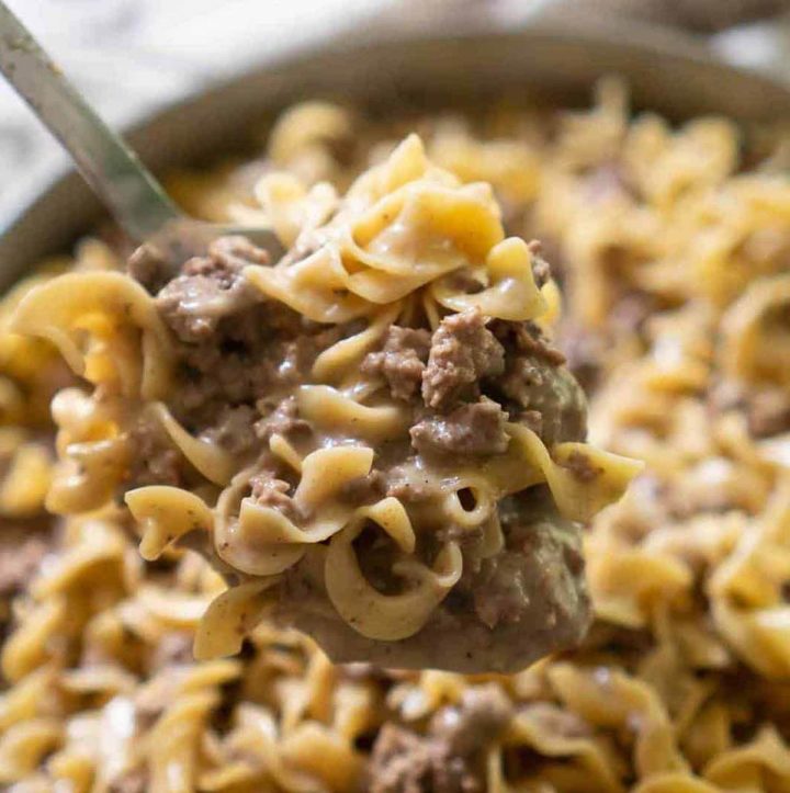 beef stroganoff on a spoon