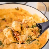 Creamy Tuscan chicken with sun-dried tomatoes, spinach, and mini farfalle in cream sauce in a pot with a serving on a spoon held over the pot and text Creamy Tuscan Chicken with Sun-dried Tomatoes.