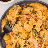 Creamy Tuscan chicken with sun-dried tomatoes, spinach, and mini farfalle in cream sauce on a plate with a forkful on a fork resting on the plate.