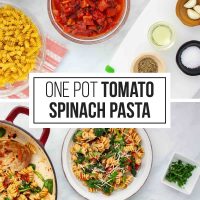 Composite image - top is ingredients for Tomato Basil Pasta (fresh spinach, rotini, diced fire-roasted tomatoes, an onion, chicken broth, garlic cloves, olive oil, basil and oregano, and kosher salt); bottom is two plates of Tomato Spinach Pasta garnished with Parmesan cheese and fresh basil strips on a counter beside the pan of the full dish and small bowls of parmesan cheese and fresh basil strips with text one Pot Tomato Spinach Pasta.